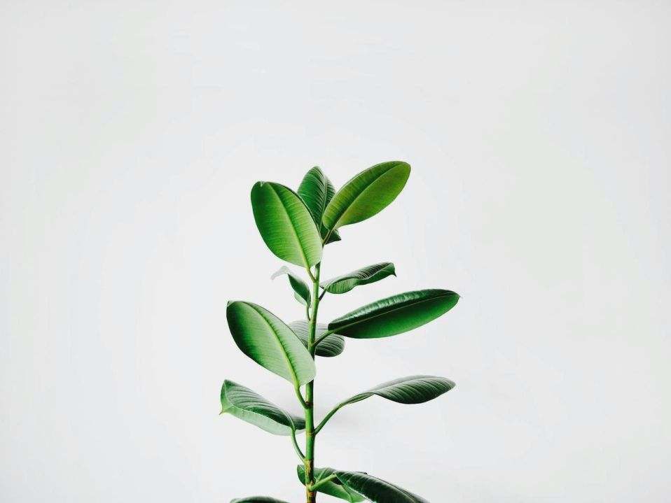 Portfolio 3